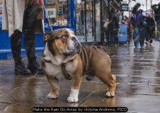 Make the Rain Go Away by Victoria Andrews, PICO