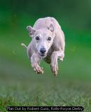 Flat Out by Robert Cuss, Rolls-Royce Derby