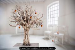 Orange Tree by Gillian Scothern, Beeston