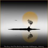 The Boy And The Bird by Brendan McIlhargey, Woking