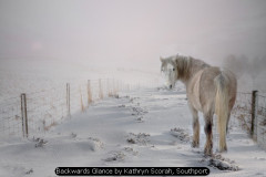 Backwards Glance by Kathryn Scorah, Southport