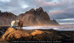 Icelandic Horses Stokksnes by Christine Wood, Southport