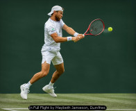 In Full Flight by Maybeth Jamieson, Dumfries
