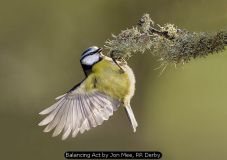 Balancing Act by Jon Mee, RR Derby