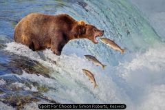 GB Trophy (Prints) Nature 2023