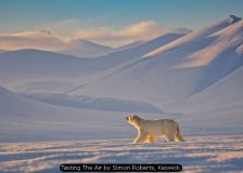 Tasting The Air by Simon Roberts, Keswick