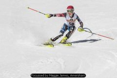 Focussed by Maggie James, Amersham