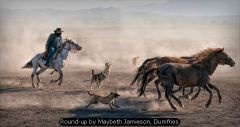 Round-up by Maybeth Jamieson, Dumfries