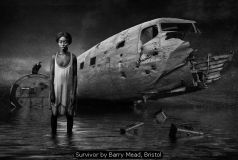 Survivor by Barry Mead, Bristol
