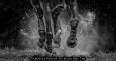 Thunder by Maybeth Jamieson, Dumfries