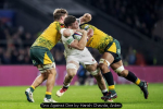 Two Against One by Harish Chavda, Arden