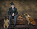 Who Let The Dogs Out by Angie Tucker, Stafford