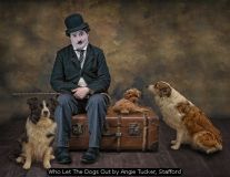 Who Let The Dogs Out by Angie Tucker, Stafford