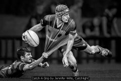 Catch A Grip by Jennifer Willis, Catchlight