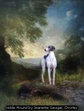 Noble Hound by Jeanette Savigar, Chorley