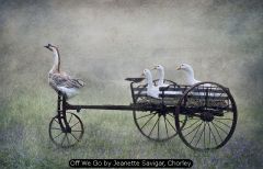 Off We Go by Jeanette Savigar, Chorley