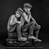 The Bashful Brother by Laurie Campbell, Catchlight