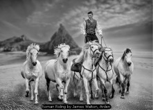 Roman Riding by James Walton, Arden