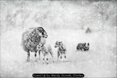 Round Up by Wendy Stowell, Chorley