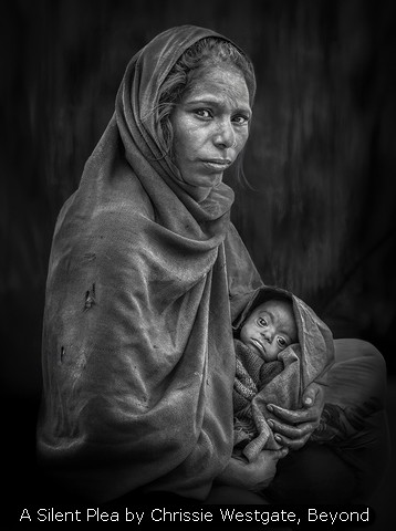 A Silent Plea by Chrissie Westgate, Beyond
