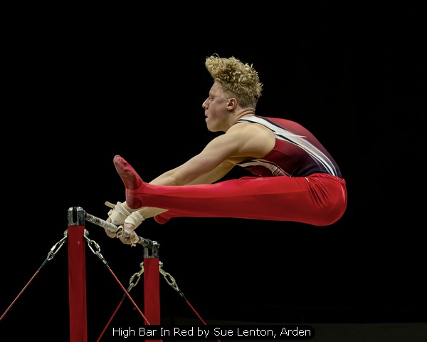 High Bar In Red by Sue Lenton, Arden