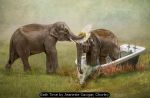 Bath Time by Jeanette Savigar, Chorley Bath Time by Jeanette Savigar, Chorley