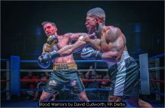 Blood Warriors by David Cudworth, RR Derby