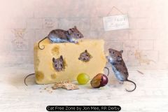 Cat Free Zone by Jon Mee, RR Derby