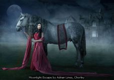 Moonlight Escape by Adrian Lines, Chorley