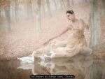 Still Waters by Adrian Lines, Chorley Still Waters by Adrian Lines, Chorley