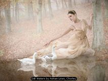 Still Waters by Adrian Lines, Chorley