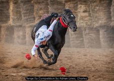 Tenge Ilu Competition by Adrian Lines, Chorley