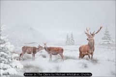 Winter In The Glens by Michael Whittaker, Chorley