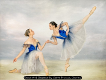 Grace And Elegance by Steve Proctor, Chorley