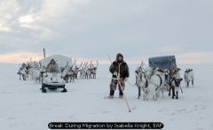 Break During Migration by Isabella Knight, EAF