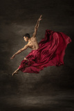 A Dancer in Flight by Paul Hassell, MCPF