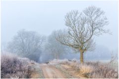 Chance Encounter by Antony Ward, YPU