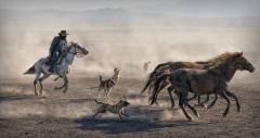 Round Up by Maybeth Jamieson, SPF