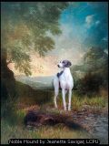 Noble Hound by Jeanette Savigar, LCPU