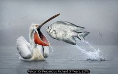 Pelican Or Pelicant by Richard O'Meara, LCPU