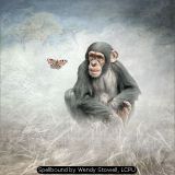 Spellbound by Wendy Stowell, LCPU