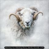 Watching You Watching Me by Wendy Stowell, LCPU