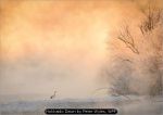 Hokkaido Dawn by Peter Wyles, WPF