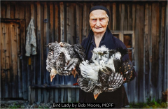 Bird Lady by Bob Moore, MCPF