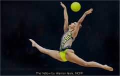 The Yellow by Warren Alani, MCPF