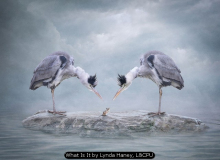 What Is It by Lynda Haney, L&CPU