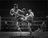 The Spinning Hook Kick by Martin Duffy, N&EMPF