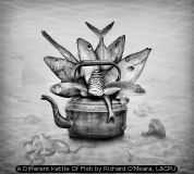 A Different Kettle Of Fish by Richard O'Meara, LCPU