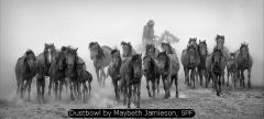Dustbowl by Maybeth Jamieson, SPF