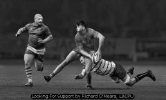 Looking For Support by Richard O'Meara, LCPU